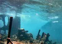 GtB Sheep Wreck on the Great Reef in Belize