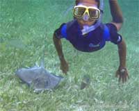 GtB Free Diving in Belize