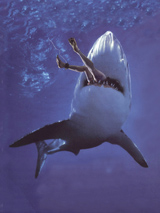 GtB Find our Easter Egg in the Belize Links from Guide to Belize