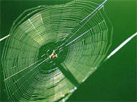 GtB Our collection of the Best Belize related Web Links