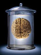 GtB The Guide to Belize Forum Think Tank with all the good Ideas