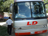 GtB Linea Dorada
                                                Bus from Guatemala on a
                                                Highway in Belize