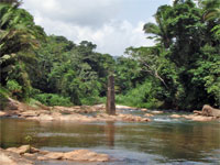 GtB Stann Creek Railway Trestle Bridge East of Middlesex