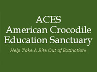 GtB Support AECS  American Crocodile Education Sancturay in Belize