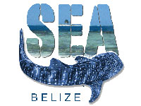 GtB Help to Protect the Reef and the Whales in Belize