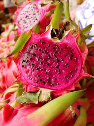Dragon Fruit