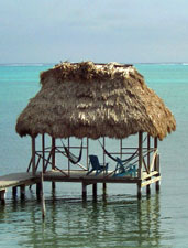 Room with a fresh breeze