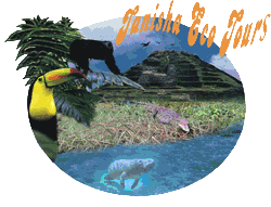 Tanisha Eco Tours